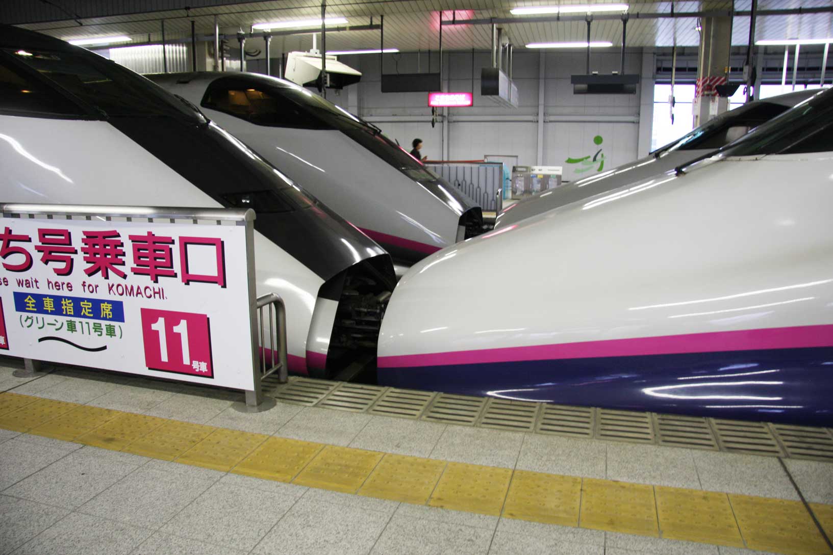 東北新幹線仙台駅　E3系「こまち」+E2系「はやて」