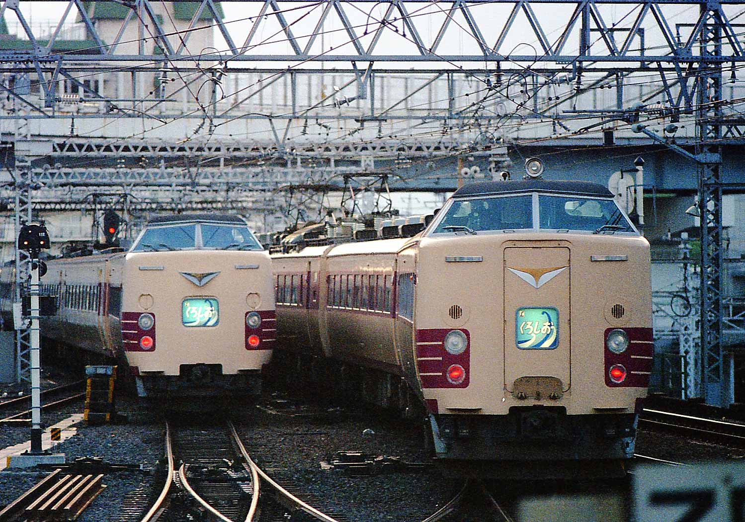 天王寺駅　381系（左）＋485系貫通特急「くろしお」