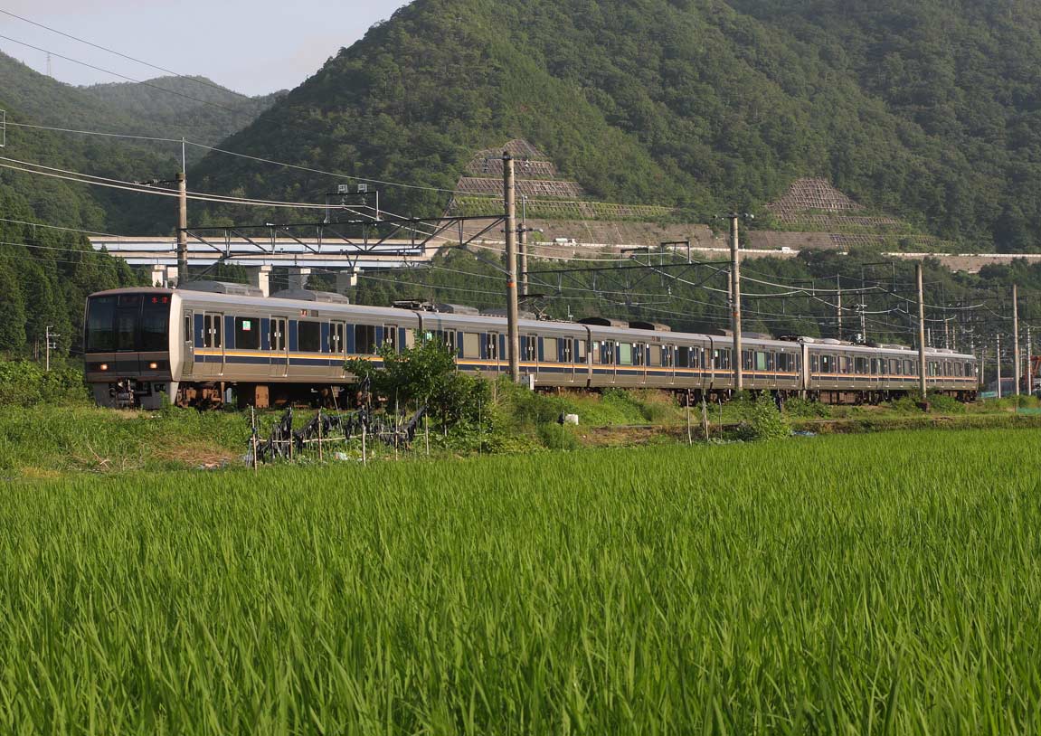 福知山線藍本－草野　207系普通列車