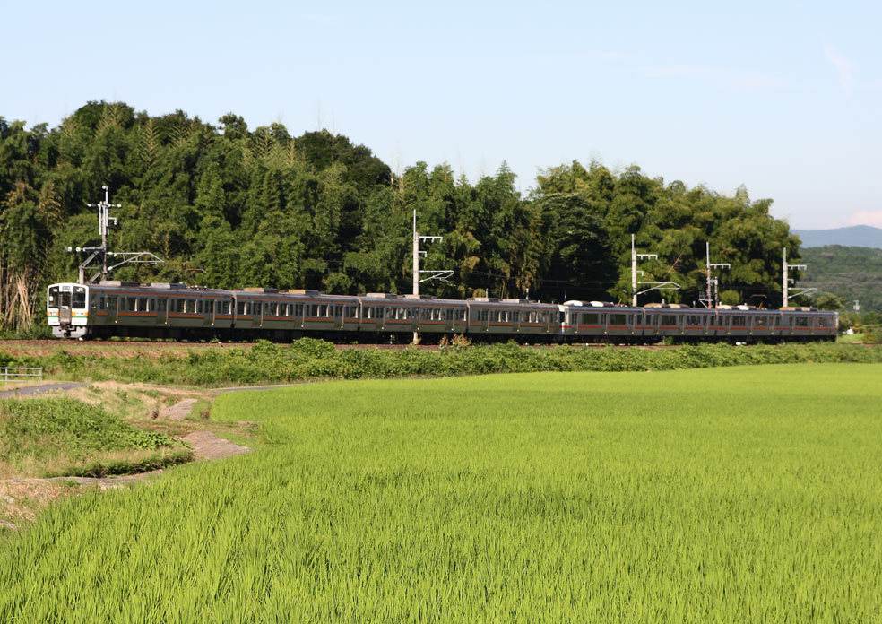 中央本線美乃坂本－中津川　211系5000番台＋313系普通列車