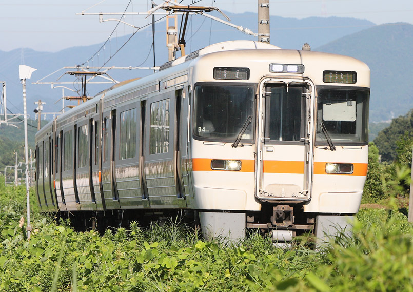 中央本線美乃坂本－中津川　313特急普通列車
