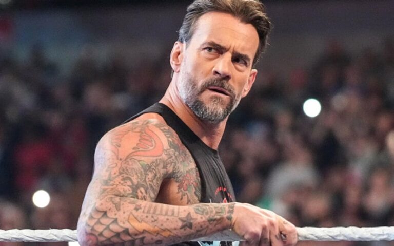 Who Is CM Punk’s Wife? Inside His Marriage to AJ Lee and Their Life Together